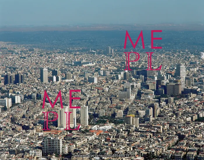  : Syrian Arab Republic. Dasmascus. Panoramic