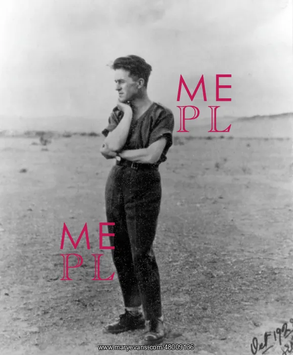 : T E Lawrence (Lawrence of Arabia) : T E Lawrence (Lawrence of Arabia)