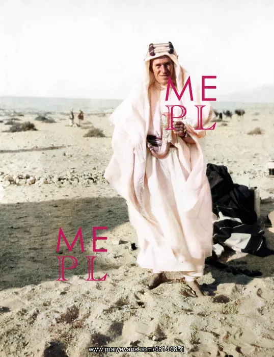 : T E Lawrence (Lawrence of Arabia) : T E Lawrence (Lawrence of Arabia)