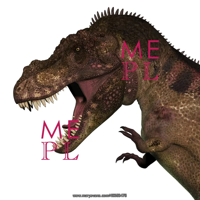 : T-rex dinosaur head on white background : T-rex dinosaur head on white background