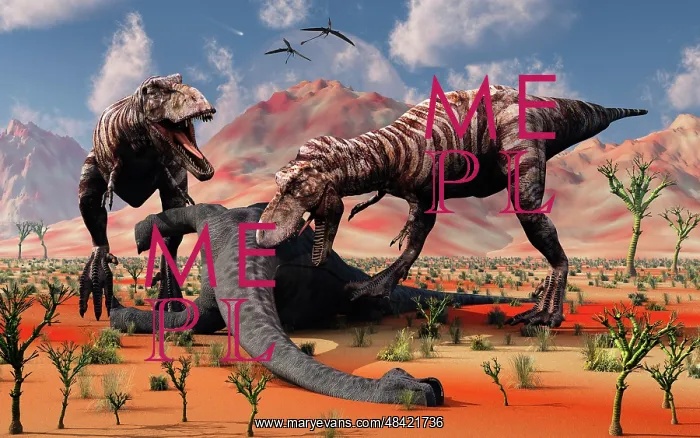 : Two T Rex dinosaurs feed on the remains of a dead sauropod : Two T Rex dinosaurs feed on the remains of a dead sauropod