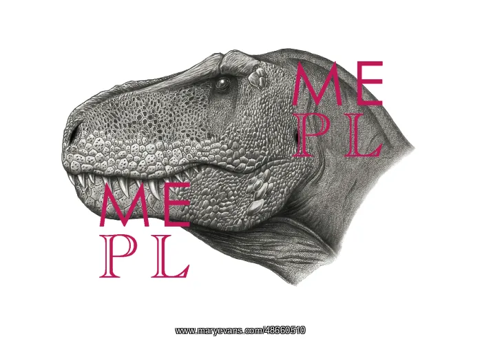 : T-rex portrait on white background : T-rex portrait on white background