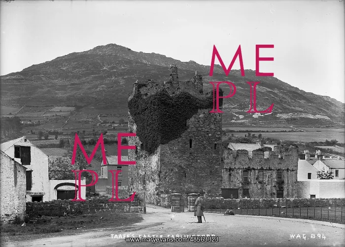 : Taafe's Castle, Carlingford : Taafe's Castle, Carlingford