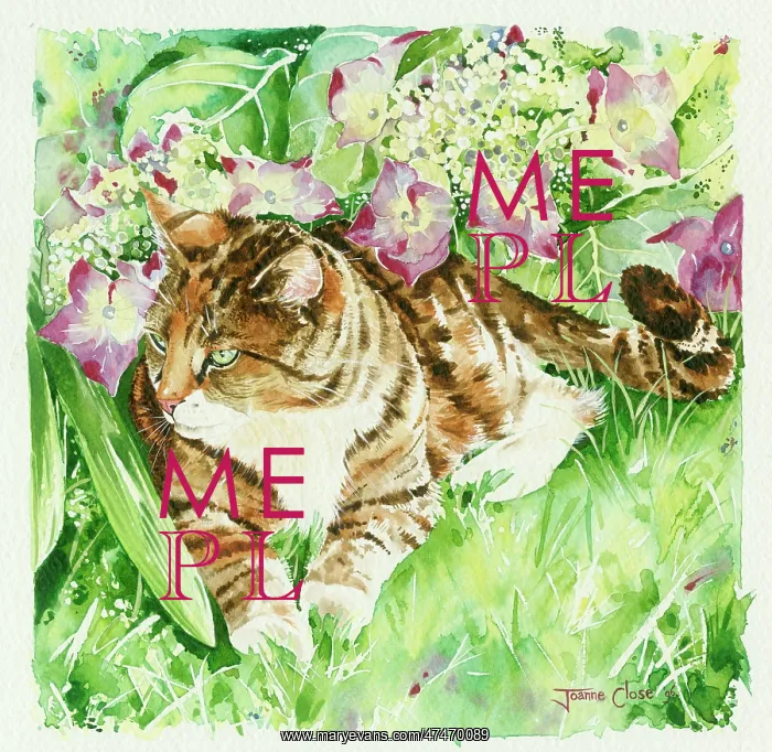  : Tabby Cat in a Garden with Hydrangea