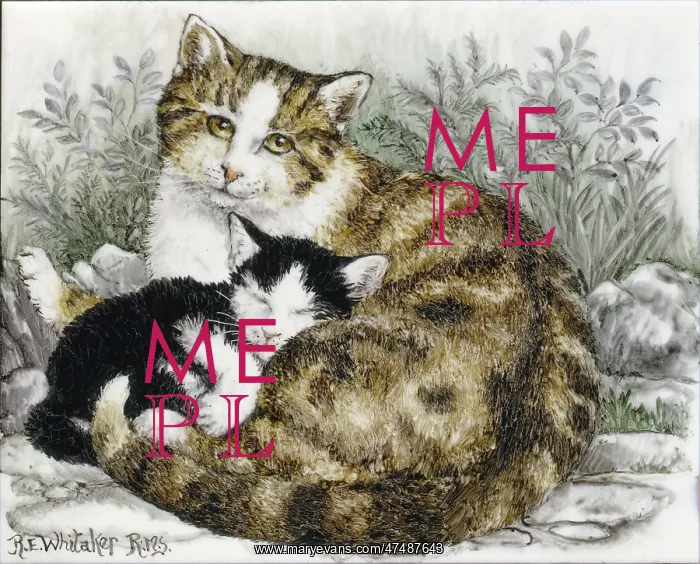  : Tabby Cat with Kitten