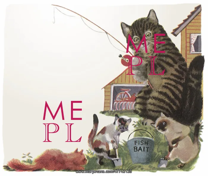  : Tabby Cat with Line