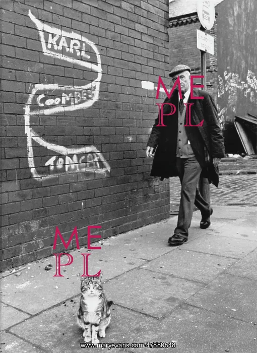 : Tabby cat on the pavement - Salford 1981 : Tabby cat on the pavement - Salford 1981