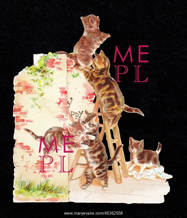: Tabby cats and kittens on a cutout greetings card : Tabby cats and kittens on a cutout greetings card