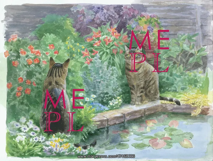  : Two tabby cats by a pond with flowers