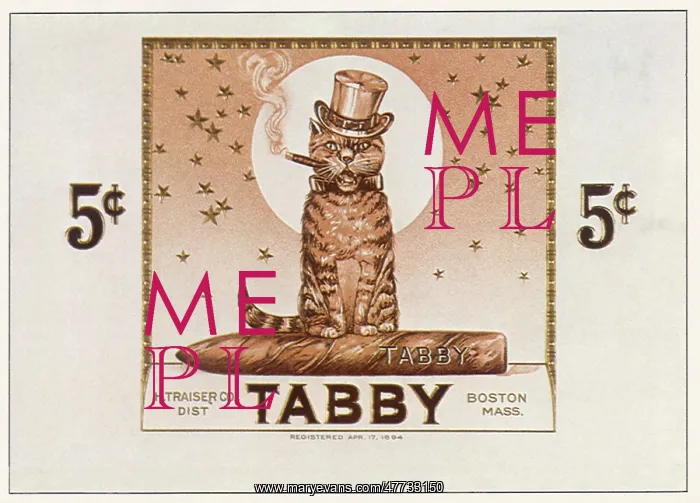  : Tabby Cigars