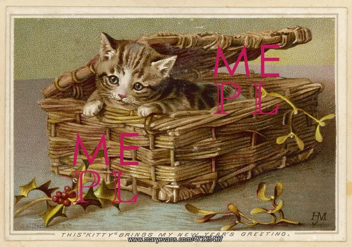  : TABBY KITTEN IN BASKET