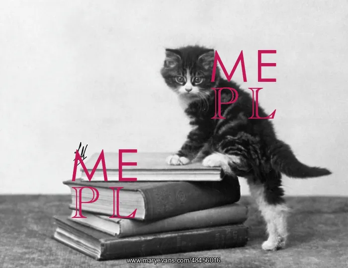  : TABBY KITTEN ON BOOKS