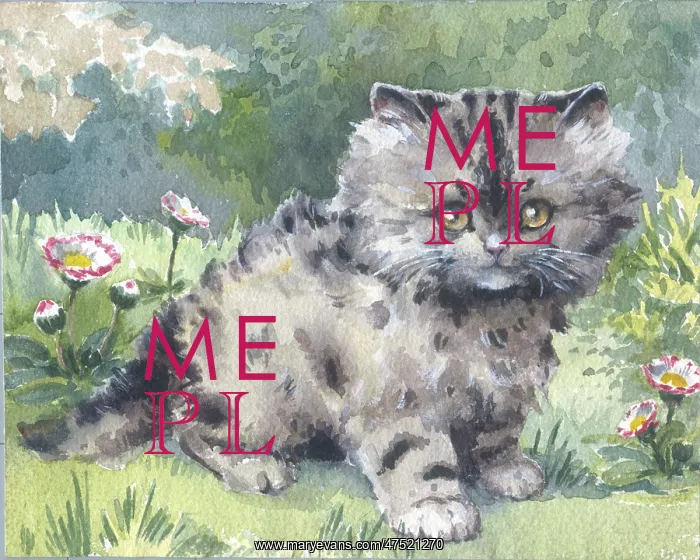  : Tabby Kitten in a garden