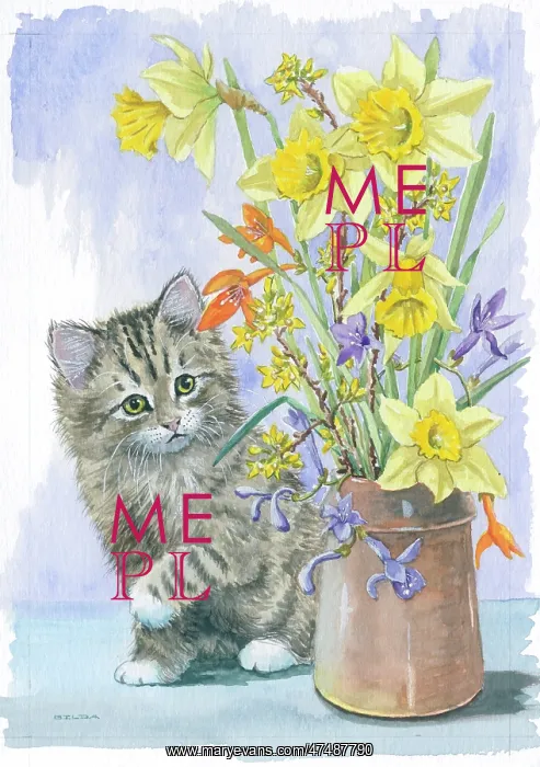 : Tabby Kitten and a vase of spring flowers : Tabby Kitten and a vase of spring flowers