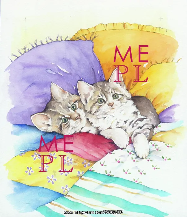  : Two tabby kittens on a patchwork quilt
