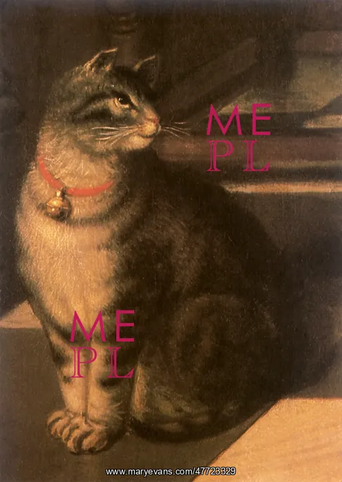  : Tabby with Red Belled Collar