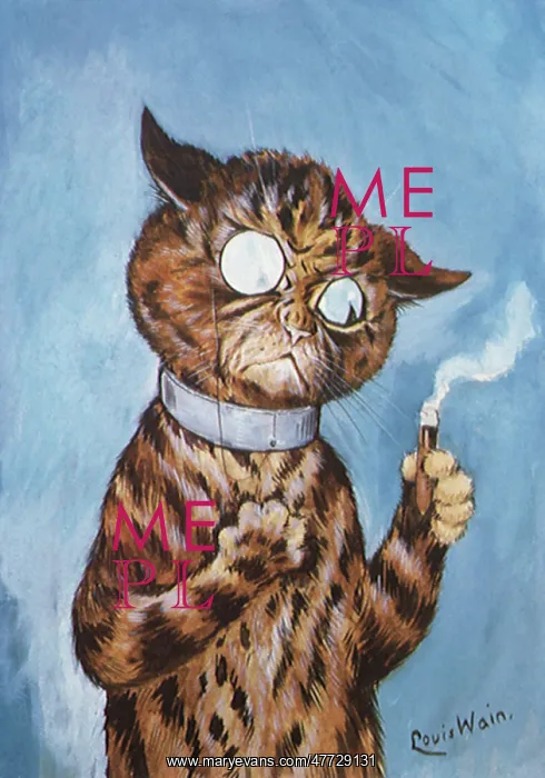  : Tabby's Cigar