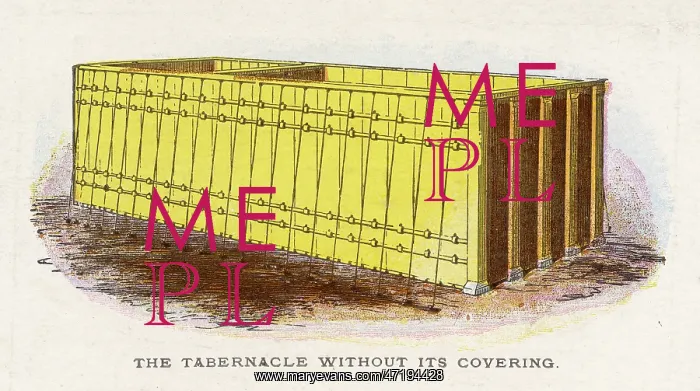  : TABERNACLE UNCOVERED