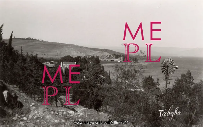  : Tabgha, Sea of Galilee, Israel