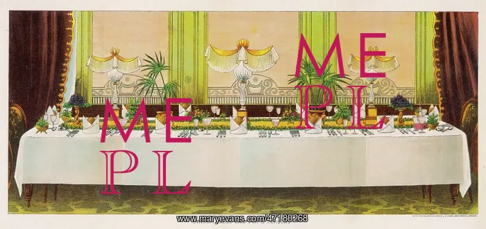 : Table Setting : Table Setting