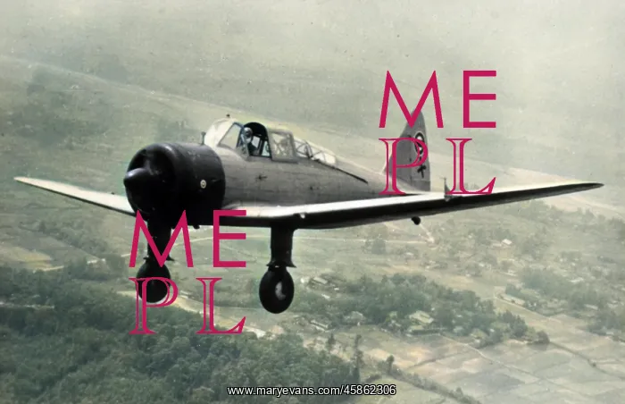 : Tachikawa Ki-55 Ida -employed as standard Army basic? : Tachikawa Ki-55 Ida -employed as standard Army basic?