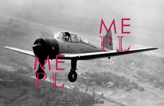 : Tachikawa Ki-55 Ida -employed as standard Army basic : Tachikawa Ki-55 Ida -employed as standard Army basic