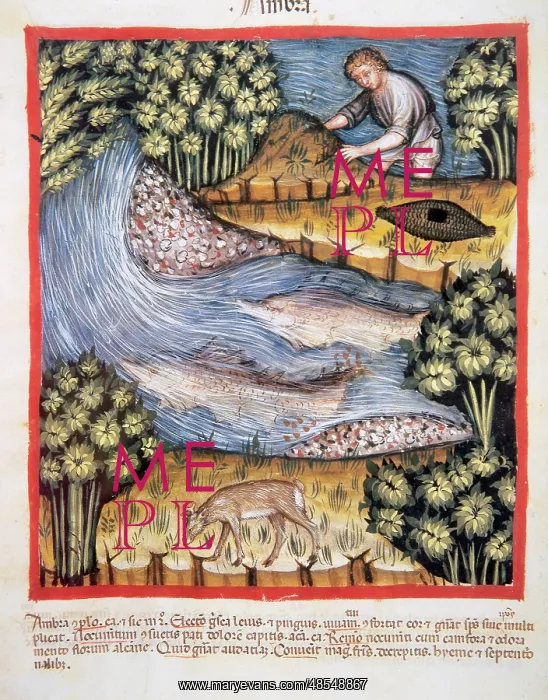 : Tacuinum Sanitatis. 14th century. Medieval handbook of healt : Tacuinum Sanitatis. 14th century. Medieval handbook of healt