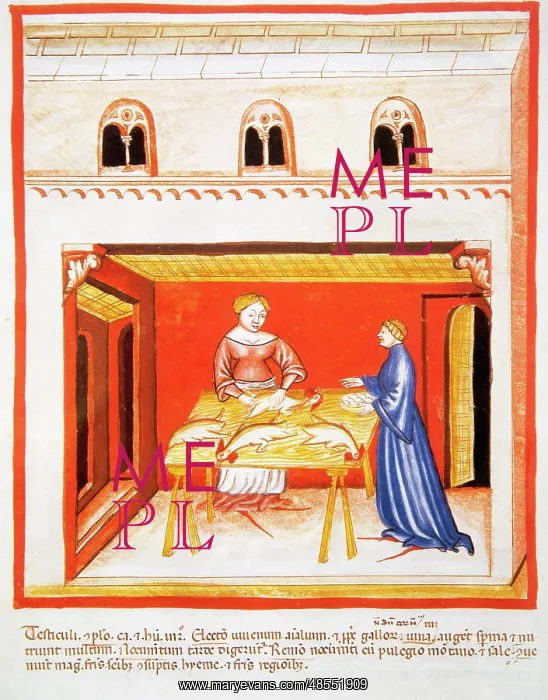 : Tacuinum Sanitatis. 14th century. Women cleaning chickens : Tacuinum Sanitatis. 14th century. Women cleaning chickens