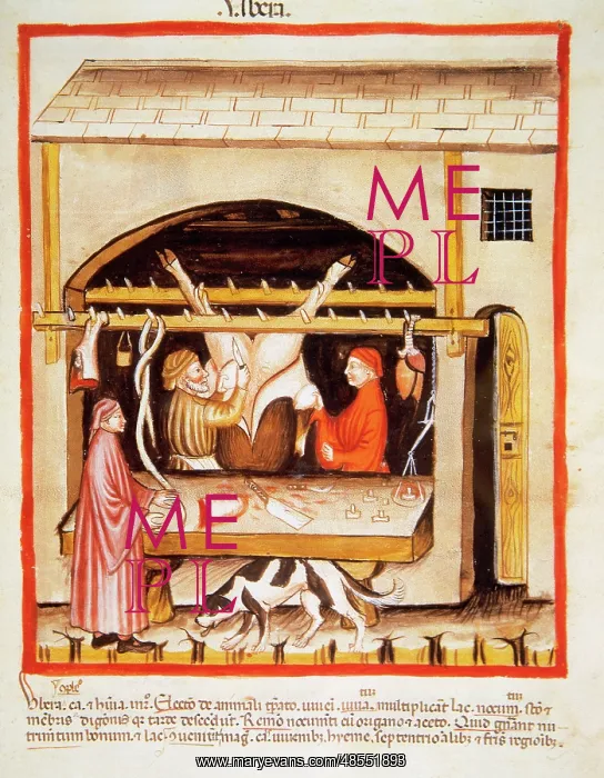 : Tacuinum Sanitatis. 14th century. Butchery : Tacuinum Sanitatis. 14th century. Butchery