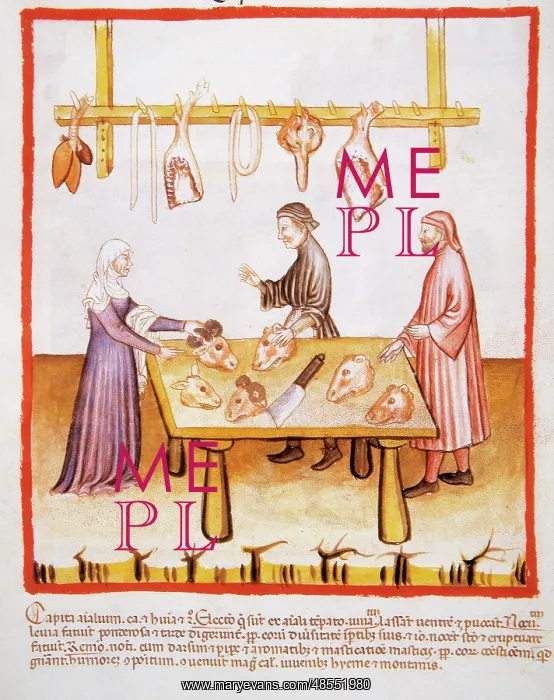: Tacuinum Sanitatis. 14th century. Butchery : Tacuinum Sanitatis. 14th century. Butchery