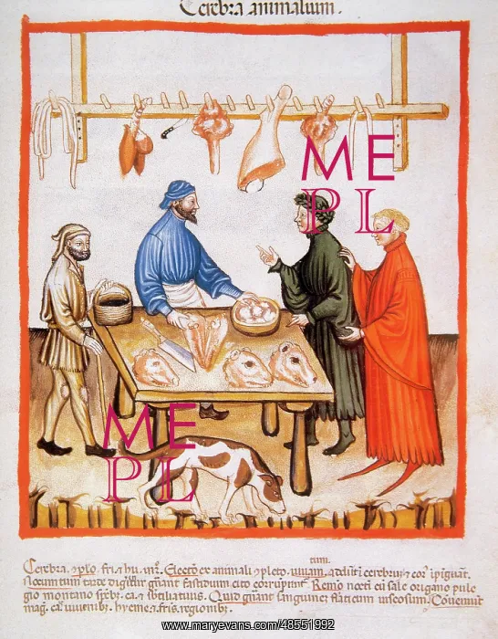 : Tacuinum Sanitatis. 14th century. Butchery : Tacuinum Sanitatis. 14th century. Butchery