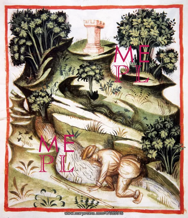 : Tacuinum Sanitatis, Aqua aliminoxa : Tacuinum Sanitatis, Aqua aliminoxa