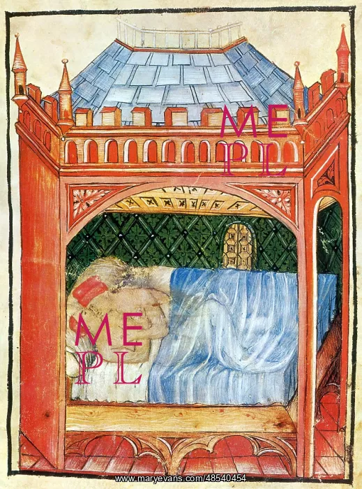 : Tacuinum Sanitatis, Coitus : Tacuinum Sanitatis, Coitus