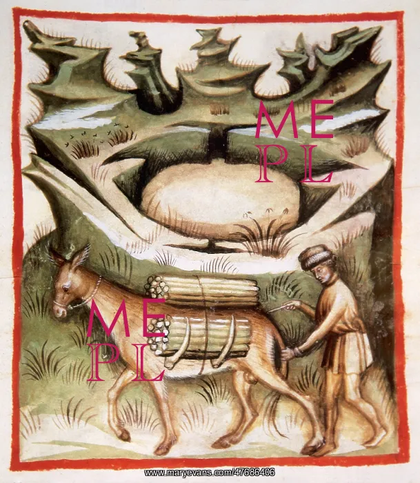 : Tacuinum Sanitatis, Donkey Driver with Firewood : Tacuinum Sanitatis, Donkey Driver with Firewood