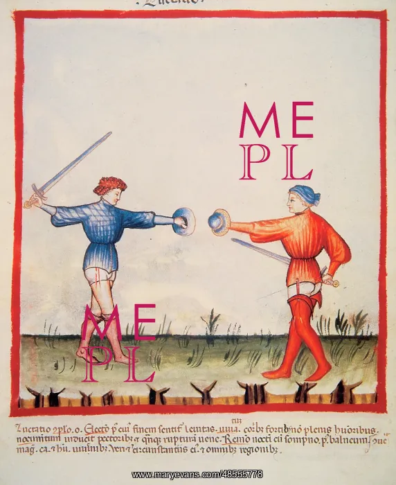  : Tacuinum Sanitatis. Fencing