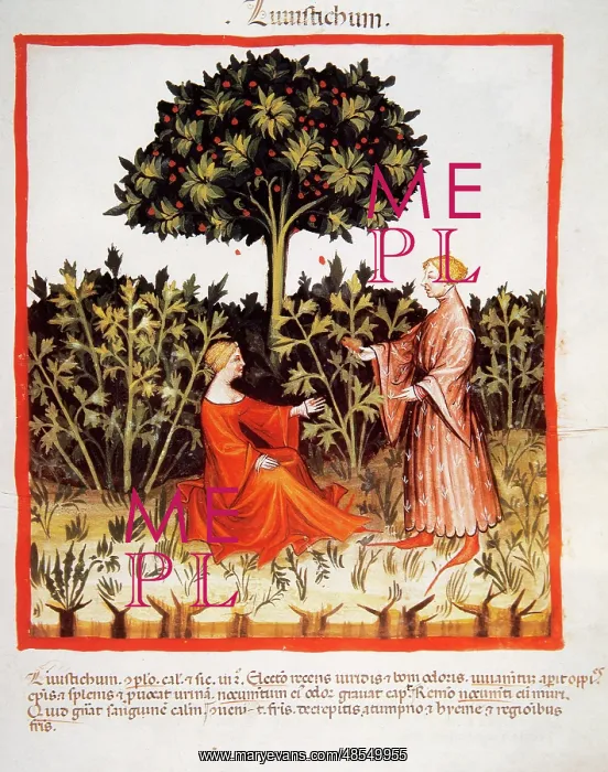  : Tacuinum Sanitatis. Late 14th century. Couple with a plantat