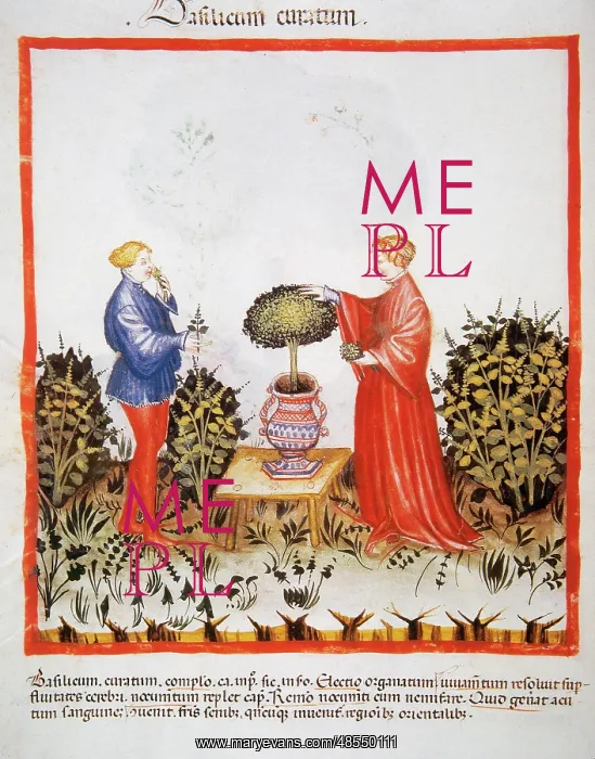 : Tacuinum Sanitatis. Late 14th century. Marriage picking a va : Tacuinum Sanitatis. Late 14th century. Marriage picking a va