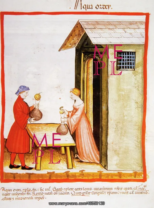 : Tacuinum Sanitatis. Late 14th century. Sale of decoction of : Tacuinum Sanitatis. Late 14th century. Sale of decoction of