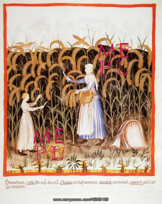 : Tacuinum Sanitatis. Late 14th century. Peasant with her daug : Tacuinum Sanitatis. Late 14th century. Peasant with her daug