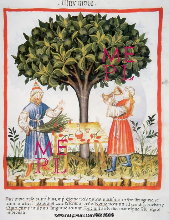 : Tacuinum Sanitatis. Late XIV century. Developing liquor with : Tacuinum Sanitatis. Late XIV century. Developing liquor with