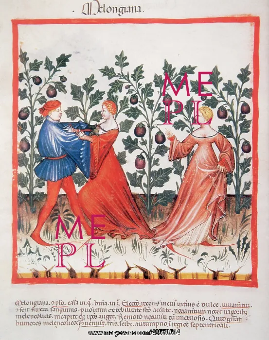 : Tacuinum Sanitatis. Late XIV century. Man attacking a woman : Tacuinum Sanitatis. Late XIV century. Man attacking a woman
