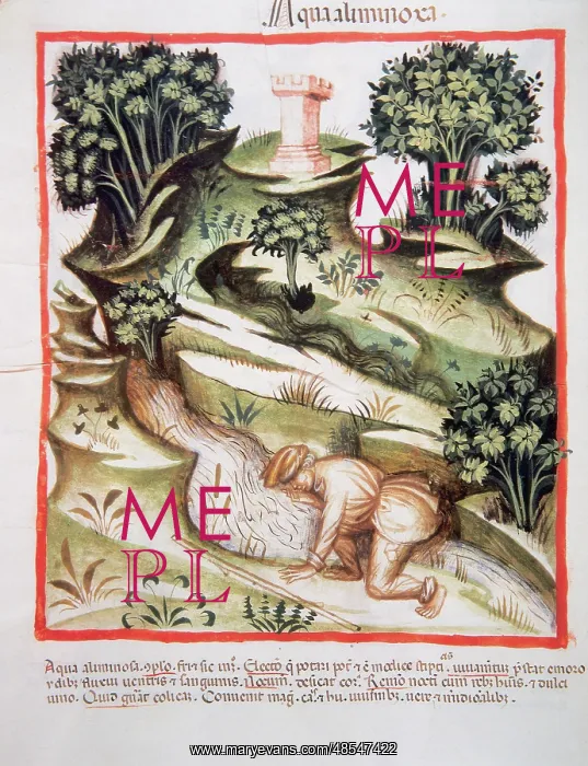 : Tacuinum Sanitatis. A man drinks water from a river : Tacuinum Sanitatis. A man drinks water from a river