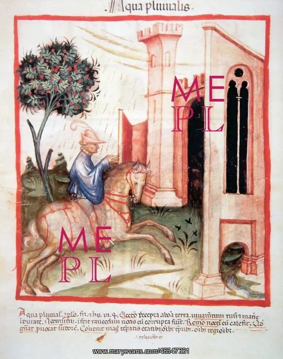 : Tacuinum Sanitatis. Man riding in the rain : Tacuinum Sanitatis. Man riding in the rain