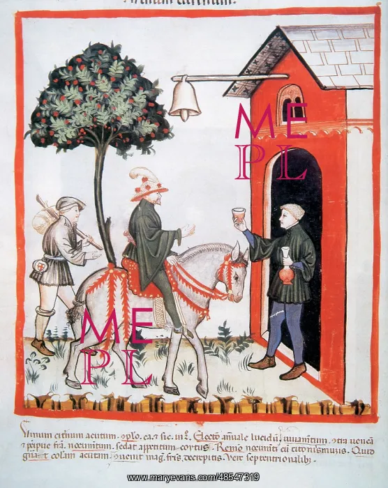 : Tacuinum Sanitatis. Servant offering a glass of wine to his : Tacuinum Sanitatis. Servant offering a glass of wine to his