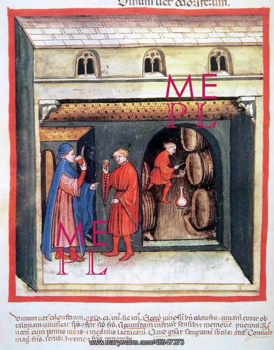 : Tacuinum Sanitatis. Wine cellar : Tacuinum Sanitatis. Wine cellar