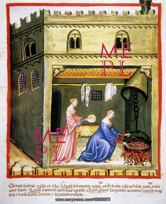  : Tacuinum Sanitatis. Woman cooking
