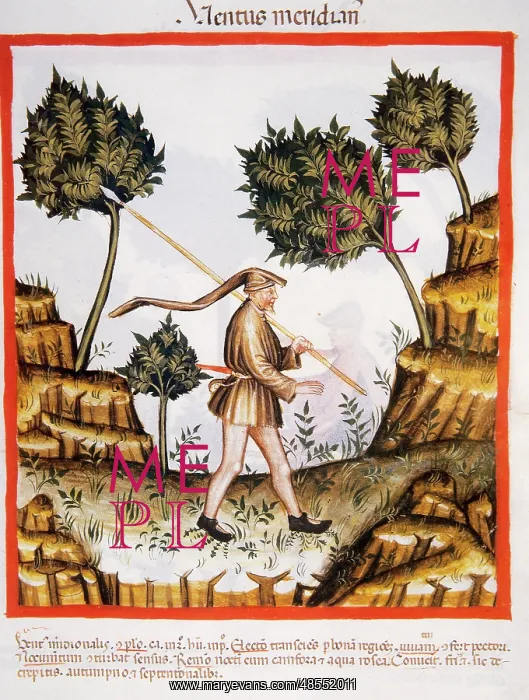 : Tacuinum Sanitatis.14th century. Medieval handbook of health : Tacuinum Sanitatis.14th century. Medieval handbook of health