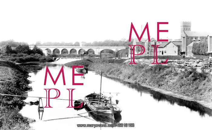  : Tadcaster, view from Bridge 1906