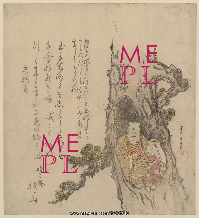 : Tagasago couple in the hollow of a pine tree : Tagasago couple in the hollow of a pine tree