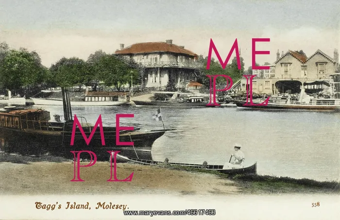 : Tagg's Island, Molesey : Tagg's Island, Molesey